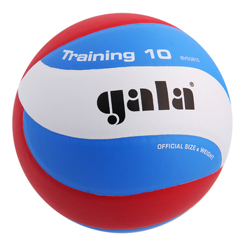 Мяч волейбольный Gala Training 10 р.5